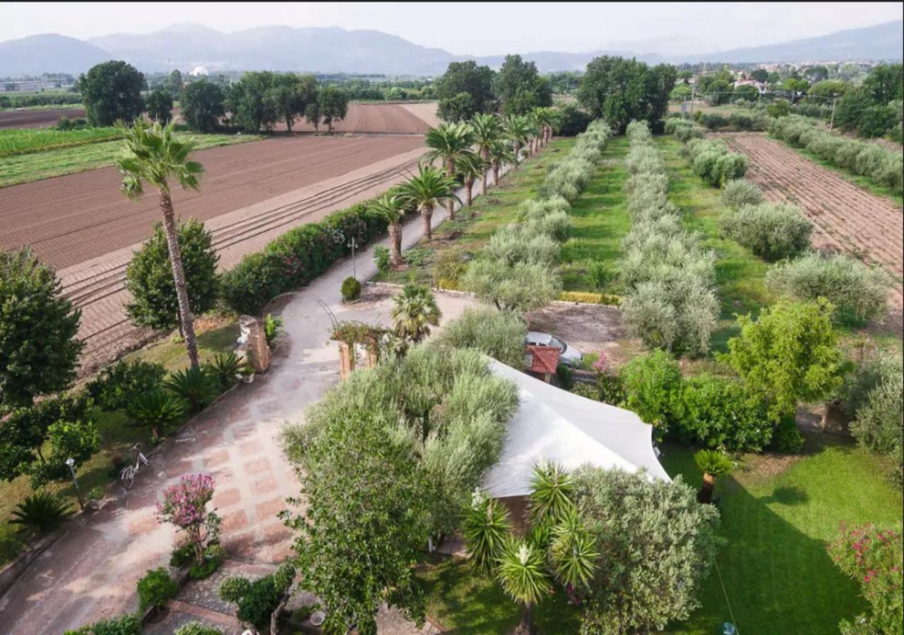 Villa Rosa Lifestyle B&B Sessa Aurunca Exterior foto